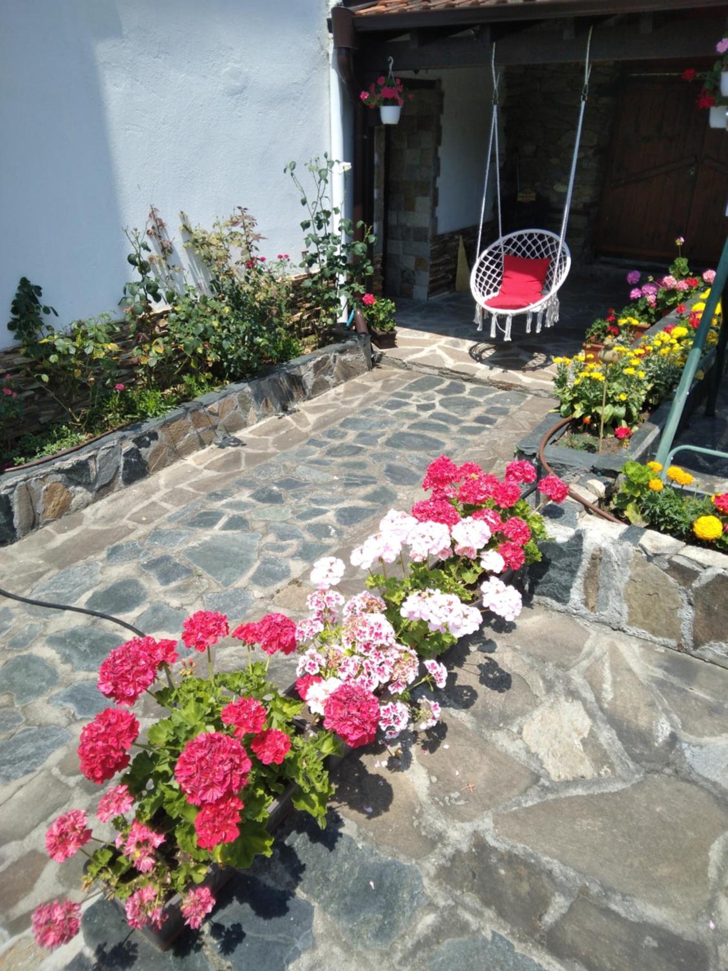 Guest House Popov Marchevo 외부 사진